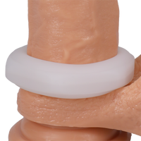 NUTT TRANSLUCENT
